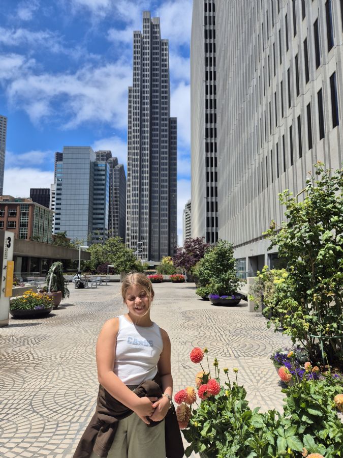 סן פרנסיסקו ודויס